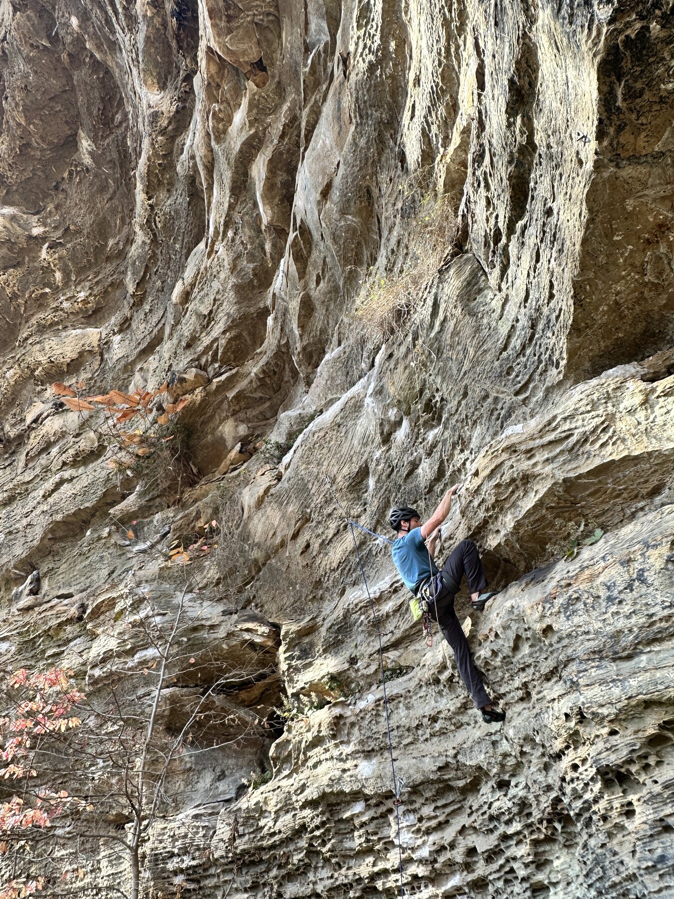 Pocketed Sandstone Climbing - Red River Gorge Climber ascending a heavily featured, pocketed sandstone wall typical of Red River Gorge climbing areas