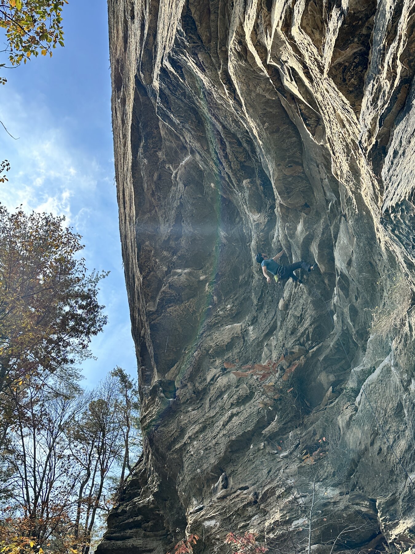 A climber dwarfed by a towering sandstone cliff line in the Red River Gorge, Kentucky, surrounded by fall foliage